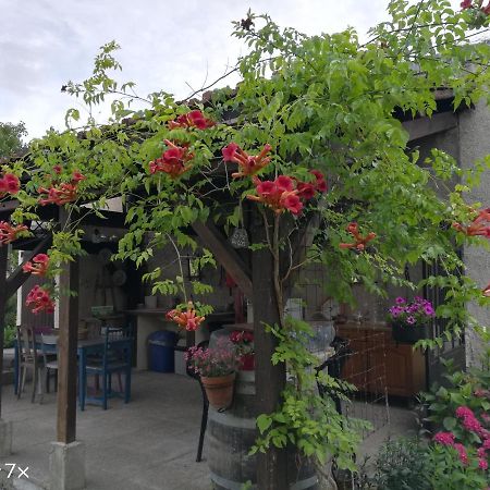 Le Coq En Pate Bed & Breakfast Romilly-sur-Seine Eksteriør bilde